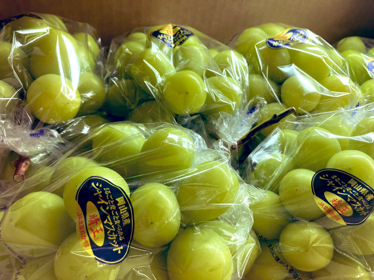 fruitsplanet's tweet photo. 今週日曜日、9月24日は臨時休業致します。ご迷惑をお掛けいたします。 https://t.co/r5ZFSbhUCn