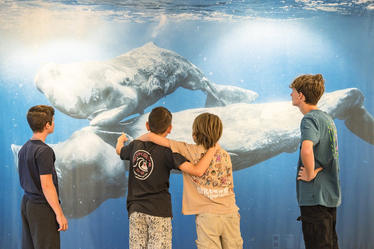 A réécouter  : 
"Belles Bêtes !" L'exposition temporaire de la Cité de la Préhistoire de L'Aven d'Orgnac par @francebleuDA - dailymotion.com/video/x8o5mm9
📸photo expo _ Séverine Baur
