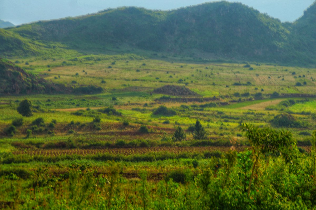 RedefiningTro's tweet photo. You haven't really traveled if you haven't visited Tororo
Find time and contact us we will take you around
πΈ: @xander_ochieng
#VisitTororo
#RedefiningTororo
#TororoToTheWorld https://t.co/Lheqgnu74N