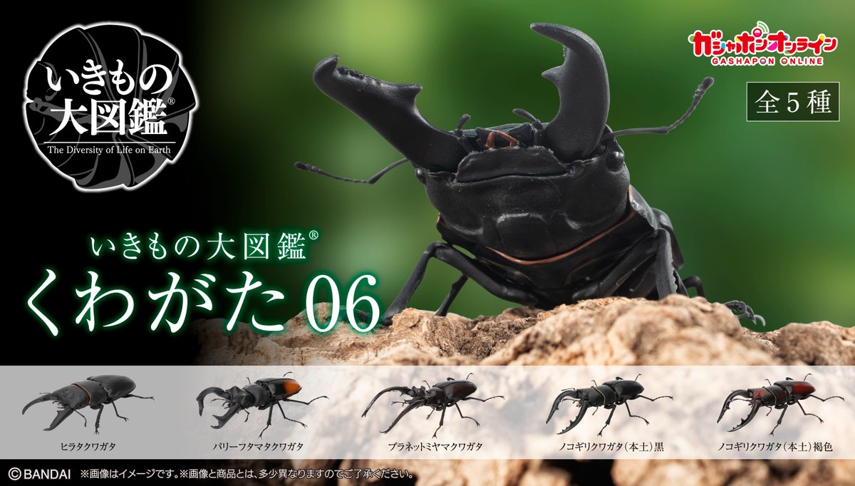 公式】バンダイ ガシャポン on X