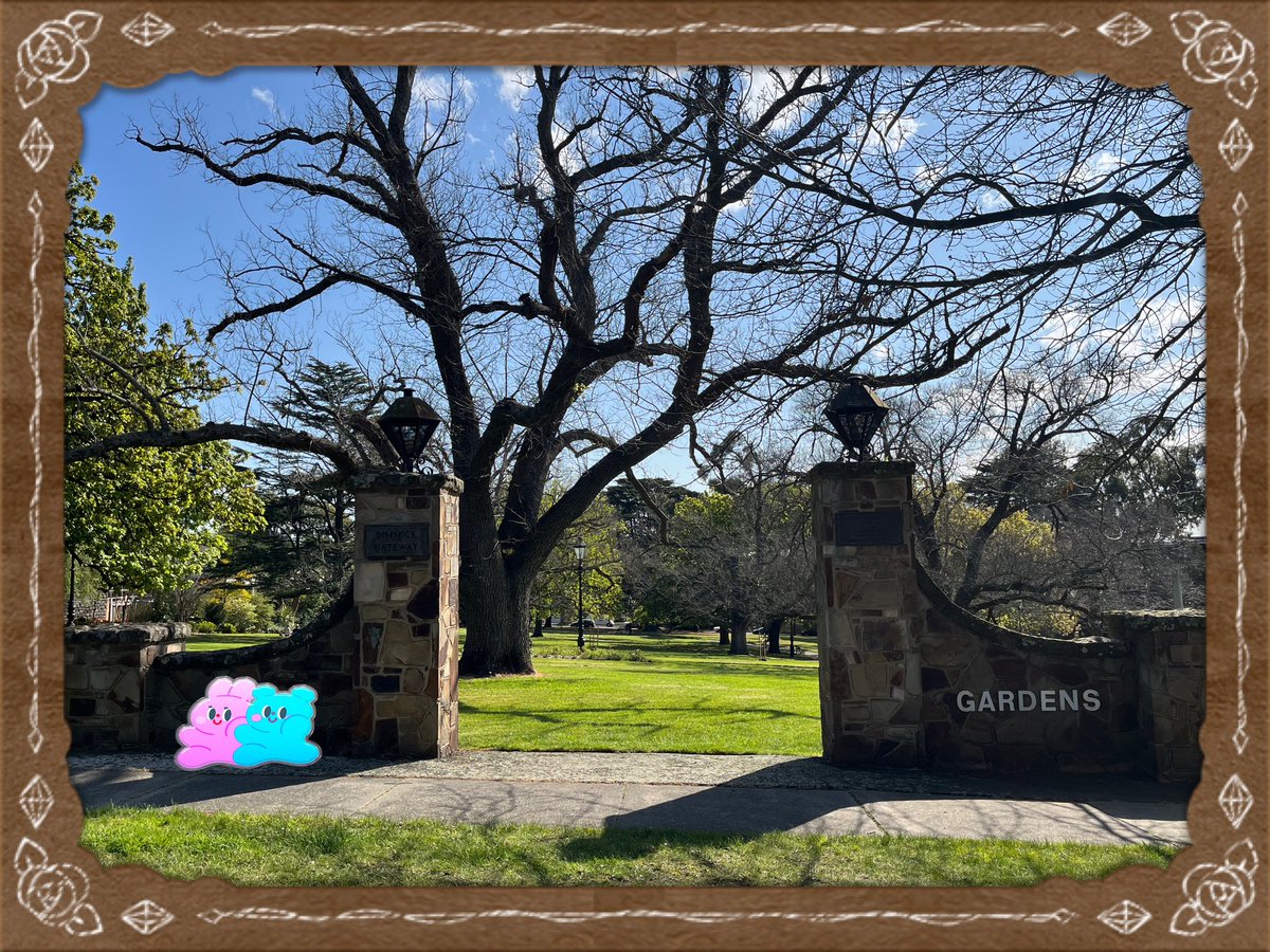 Have a good one😊

#nature #photograghy