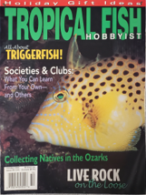 TFHmagazine's tweet image. Next month will mark the 20th anniversary of this iconic October 2003 issue—time flies! #ThrowbackThursday

#TropicalFishHobbyist #fishmagazine #vintagemagazine #triggerfish