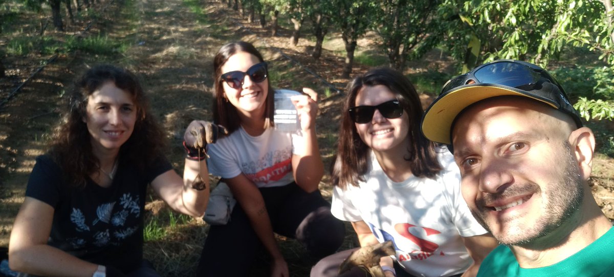 zornoza_raul's tweet photo. Continuamos evaluando el efecto de las #cubiertasvegetales con #climcover en almendros en seto en la funcionalidad del suelo y los #serviciosecosistemicos #teabags  @etsiaupct @CienciaGob https://t.co/KlLG08t2t9