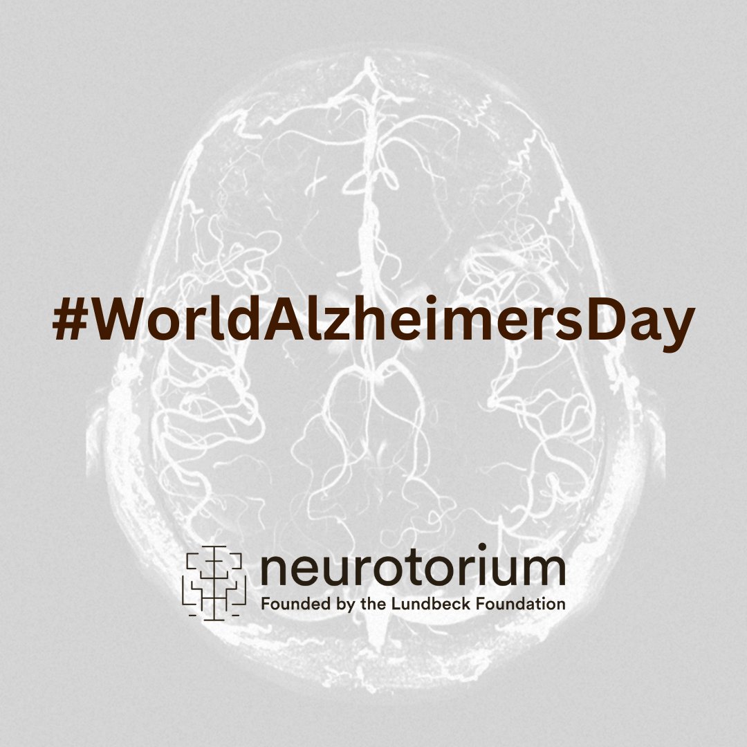Neurotorium tweet media