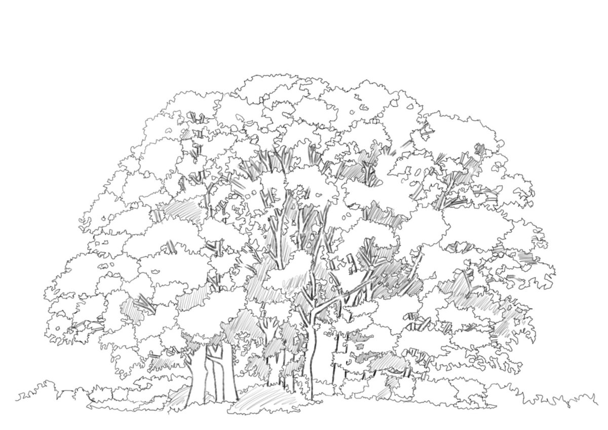 Steve Bee tweet media