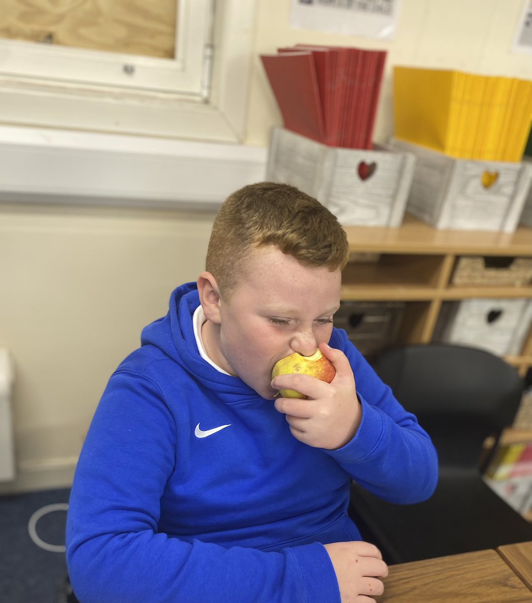 MrsMPrimary7's tweet photo. P7 making an excellent start to eating a healthy snack at break. Bravo! 🍓🍇🍎🍉🍊 https://t.co/pGh7mbXNZn
