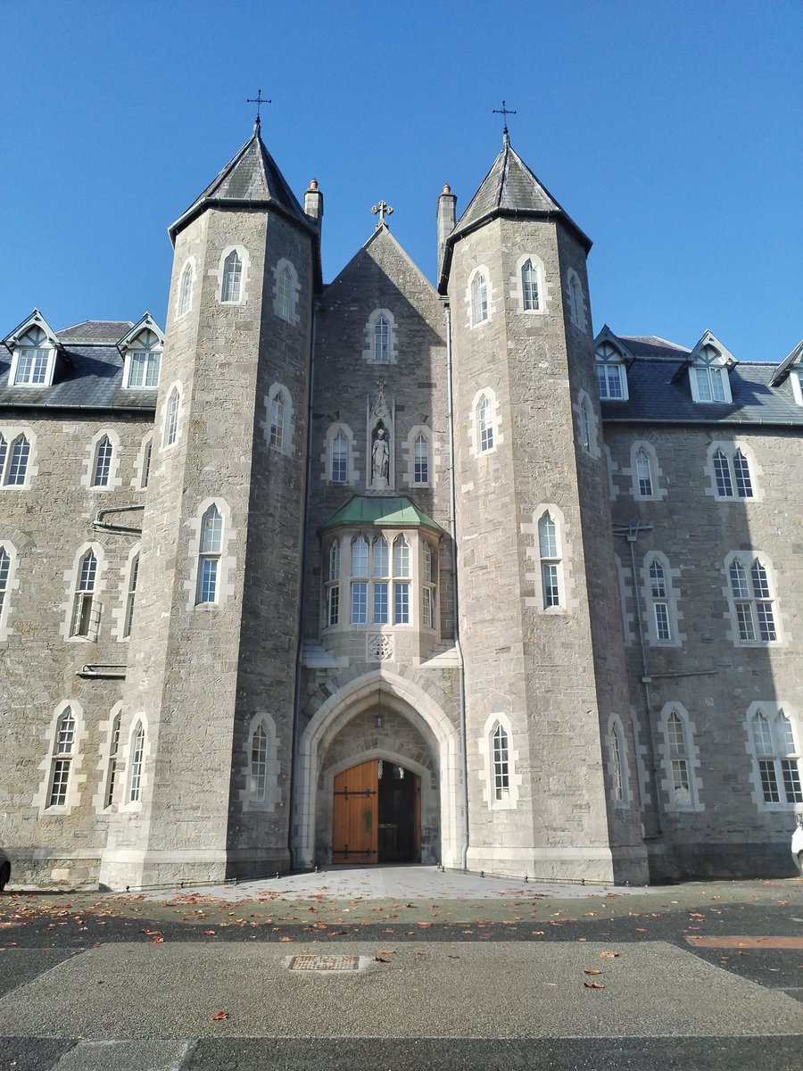 Niamh Wade tweet media