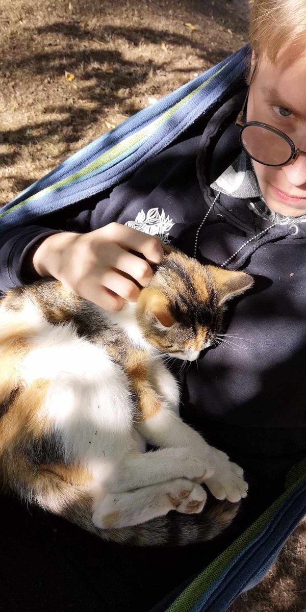 Mokyklos katinas