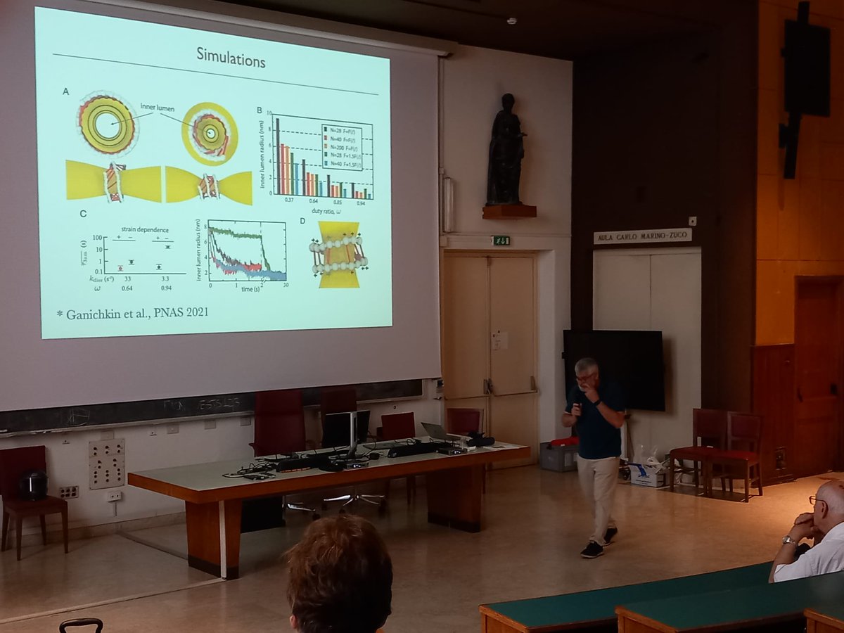 nanoCAFÉ Group tweet media