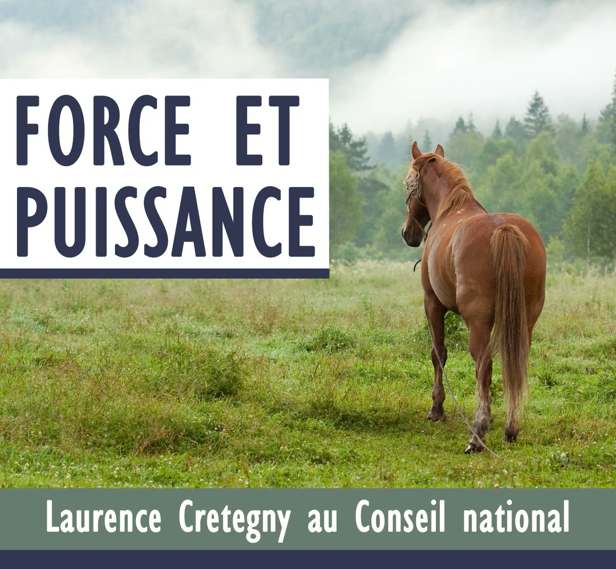 Laurence Cretegny tweet media