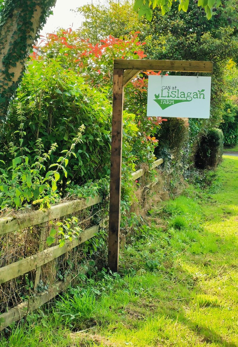 Social Enterprise NI tweet media