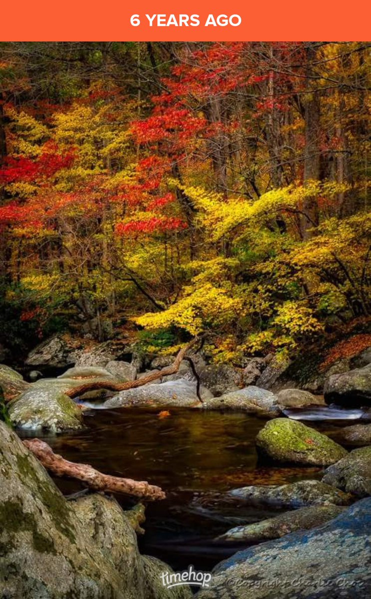 DBFrisk2001's tweet image. Beautiful, and very colourful! 😀

#FallColorPalette #Greenbriar #GreatSmokyMountainsNationalPark