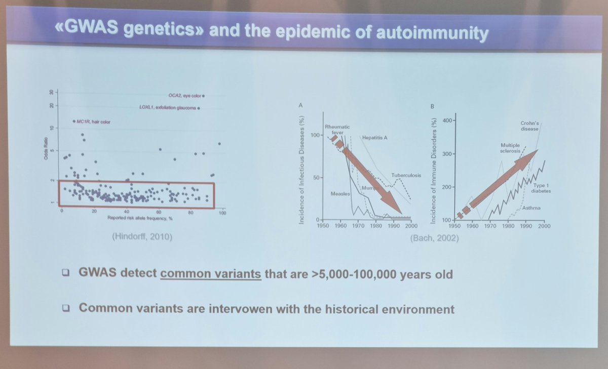 4th Swiss Autimmune Liver Disease meeting @AutoImmuneLiver @tomhemmingk @EASLedu @ERN_RARE_LIVER Love this slide. As infection is eradicated, autoimmunity increases....Food for thought