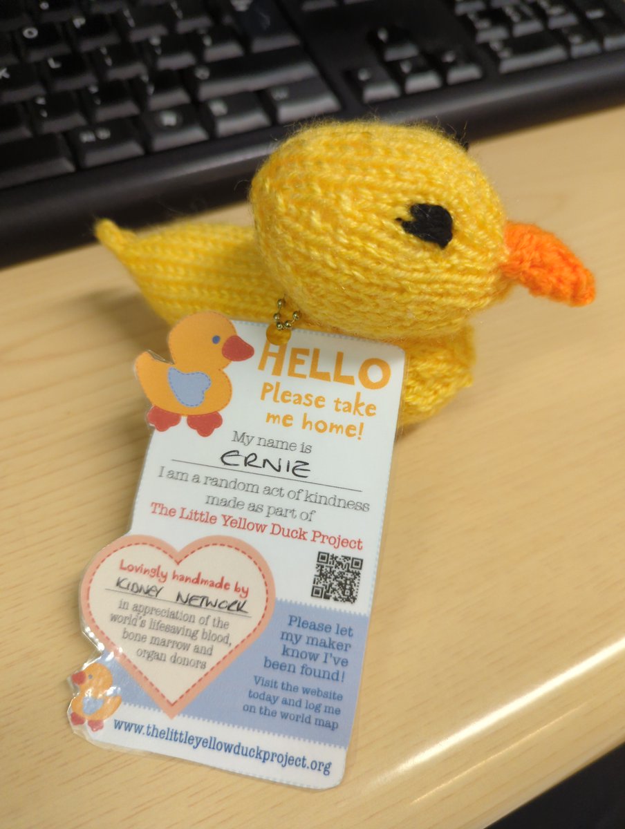 Lovely little suprise found at <a href="/pharmacylthtr/">Pharmacy@LTHTR</a> this morning!
 
Welcome to the team Ernie! 🦆
#RandomActOfKindness #TheLittleYellowDuckProject #KidneyNetwork