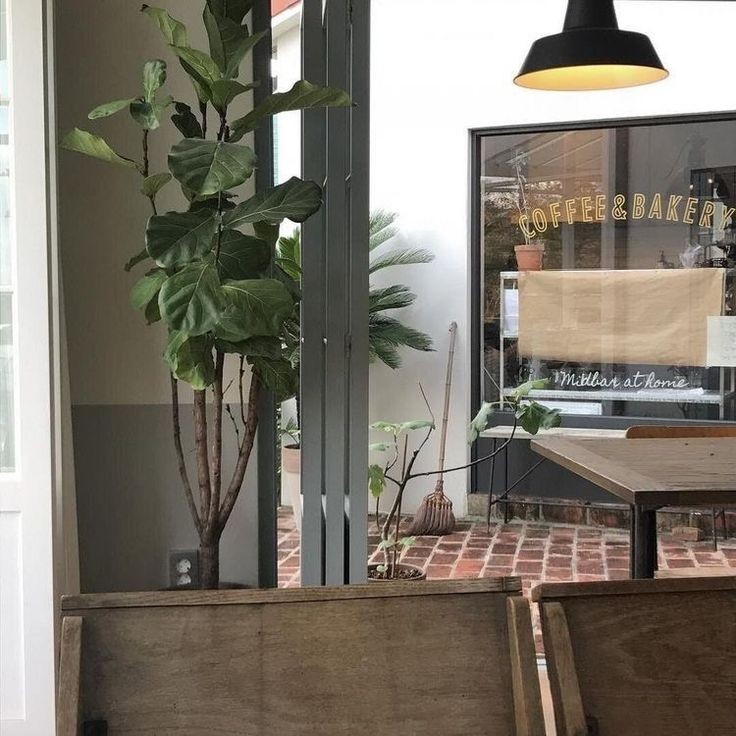 hi! i’m sav, new to #studytwt. looking for interactive moots and study buddies ><

⤷ she/ her, filo, minor
⤷  senior high school 
⤷ loves: matcha, bts, reading, music

♡ / ↻ to be moots!
#studytwtph #studytwt