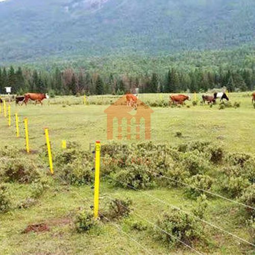 wangxu667886's tweet photo. The pasture electronic fence system is not only suitable for cattle, but also can be used for the management of horses, sheep, pigs and other livestock. Whether it is pasture, pens or indoor areas, our electric fencing systems provide the best solution depending on the need. https://t.co/ErDsxuekMo