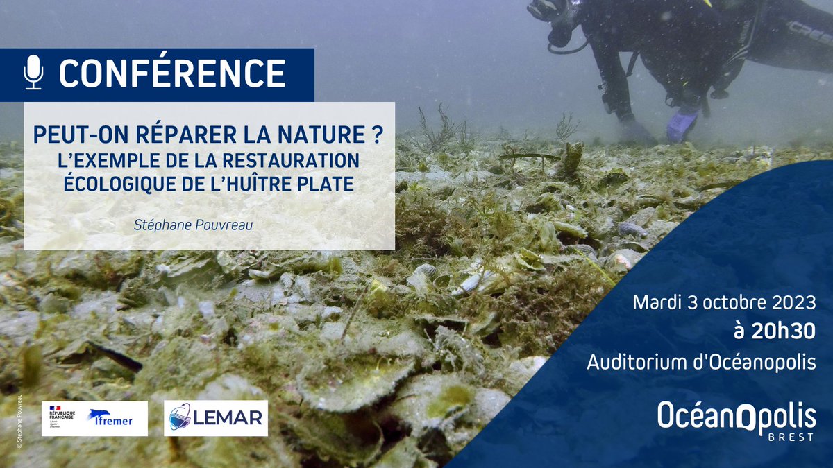 Oceanopolis_'s tweet image. Peut-on réparer la nature❓
📢 Lors de notre #conférence grand public, du 3 octobre, découvrez comment des initiatives #scientifiques et #écologiques ouvrent la voie à la restauration de l’huître plate, révélant ainsi l’espoir de sauver cette espèce et nos #écosystèmes côtiers !