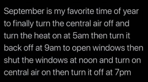 Country959's tweet photo. THURSDAY
640 The viral video of sisters freaking out when one cuts anotherโs bangs is sisterhood in a nutshell โ๏ธ
710 #MissingF35 UPDATE ๐ฌ
740 Play Dancing with the #WINDSOR Stars
840 What are you secretly hoarding? Or openly ๐
That time of year.. https://t.co/I1SQ8ItwCo