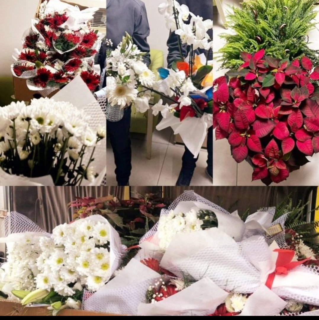 Sayın cumhurbaşkanım sizin de dediğiniz gibi siz seçim öncesi  atıp tutanlar değil sözünün eri birisiniz. Öğretmenler vereceğiniz sözü tutacağınızdan eminler sadece bir açıklama istiyoruz 
#ÖğretmenlerCBgüveniyor