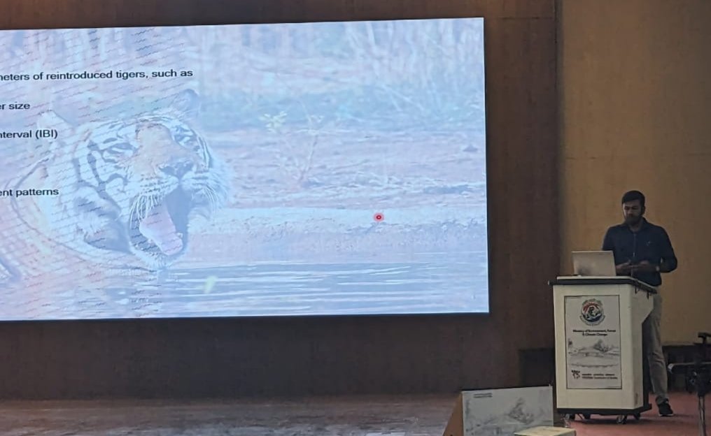 wii_india's tweet photo. The recovery journey and the success story of Panna Tigers in Central India. #ARS2023 @moefcc @DuttaS92, @kramesh95, @wii_india, @ntca_india, @vrtiwari1 @PannaTigerResrv, #MPFD, #WildlifeConservation #wildlife https://t.co/pTTAUeUwnb