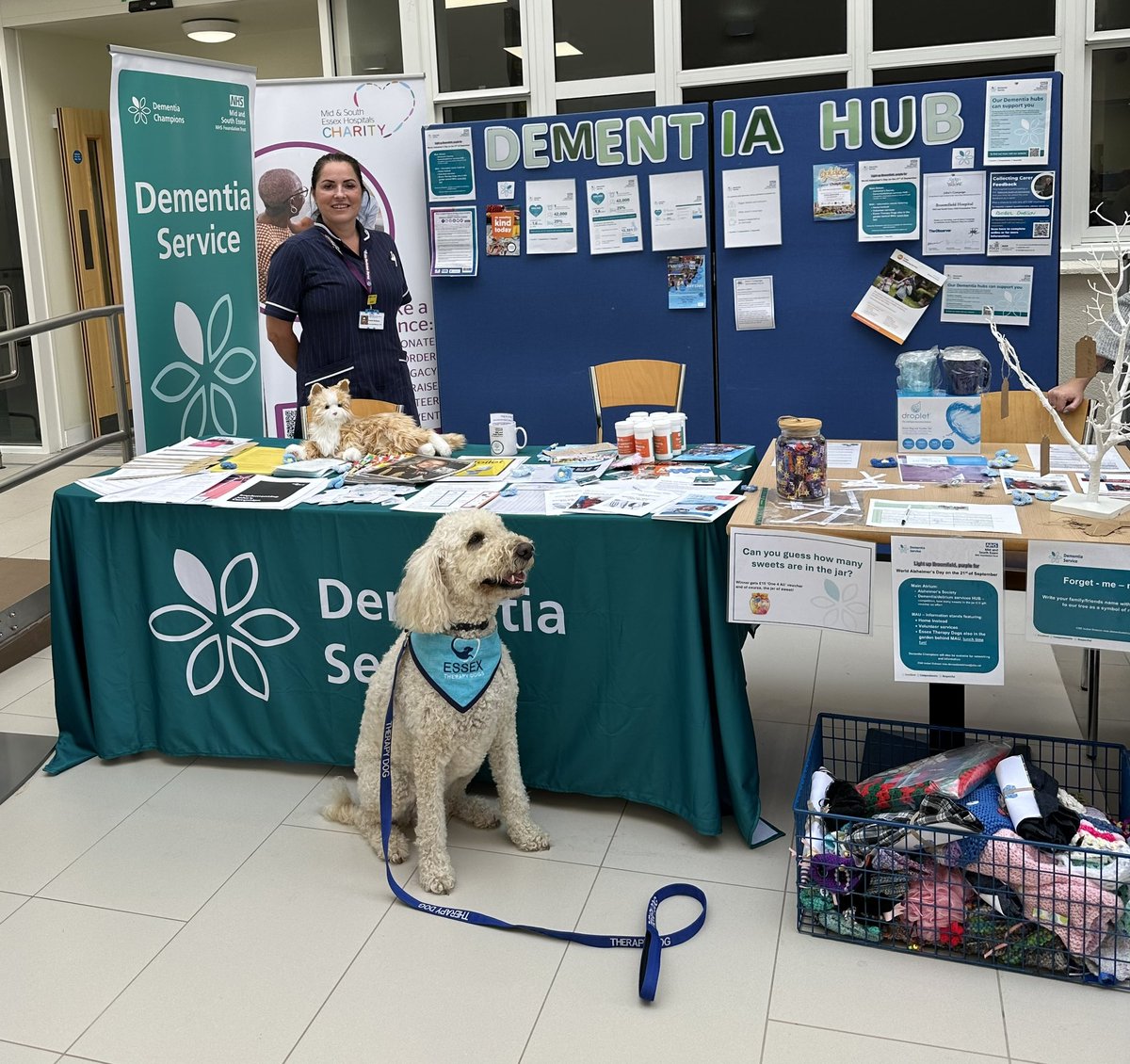 Our services in the hospital and community. #Broomfieldhospital Atrium and MAU.   @worldalzheimersday @hannahoverland @Mel_Chambers76 @MSEHospitals @essextherapydog @MSEVolunteers @MSEPatientExp @kellyMcgovern21 @alzheimerssoc @homeinstead #MSETeams #MSEValues #johnscampaign