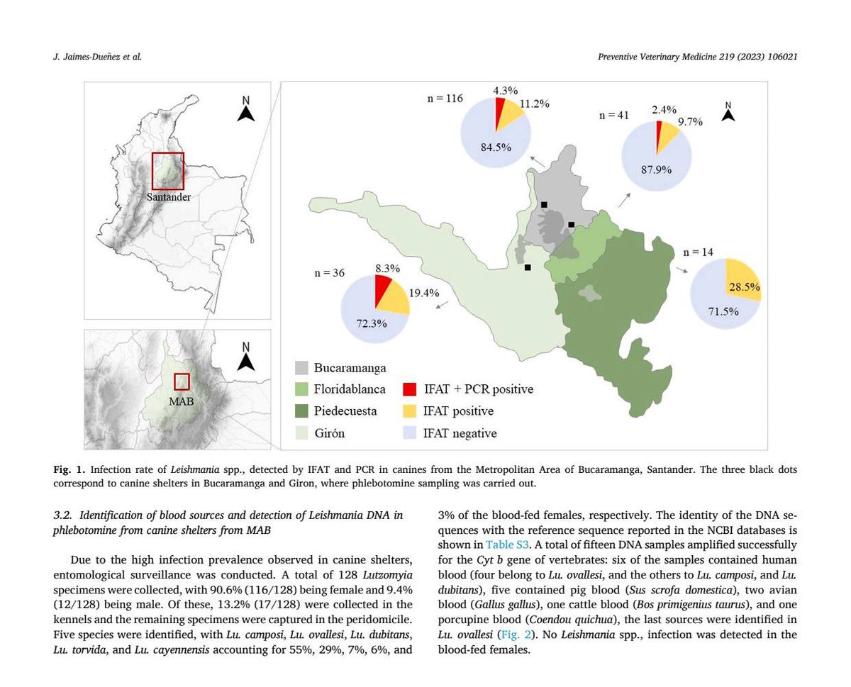 Compartimos la última publicación científica
Un artículo sobre Leishmania infantum en perros del área metropolitana de Bucaramanga
Una colaboración entre diferentes grupos  @UIS @CIMBIUR @FCENUdeA @UdeA 
@otriana_udea @OmarCantillo8
@eresbey22 @jdramirez24
#papersudea #UCColombia