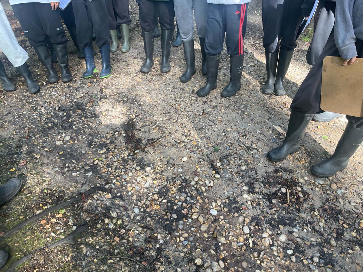 AndrewBoardman's tweet image. @ChanningSchool wonderful Year 11 Geographers studying rivers today @FSCEppingForest . Hypothesis testing The Bradshaw model. Stop 1 the source of the river  #GEOGRAPHY