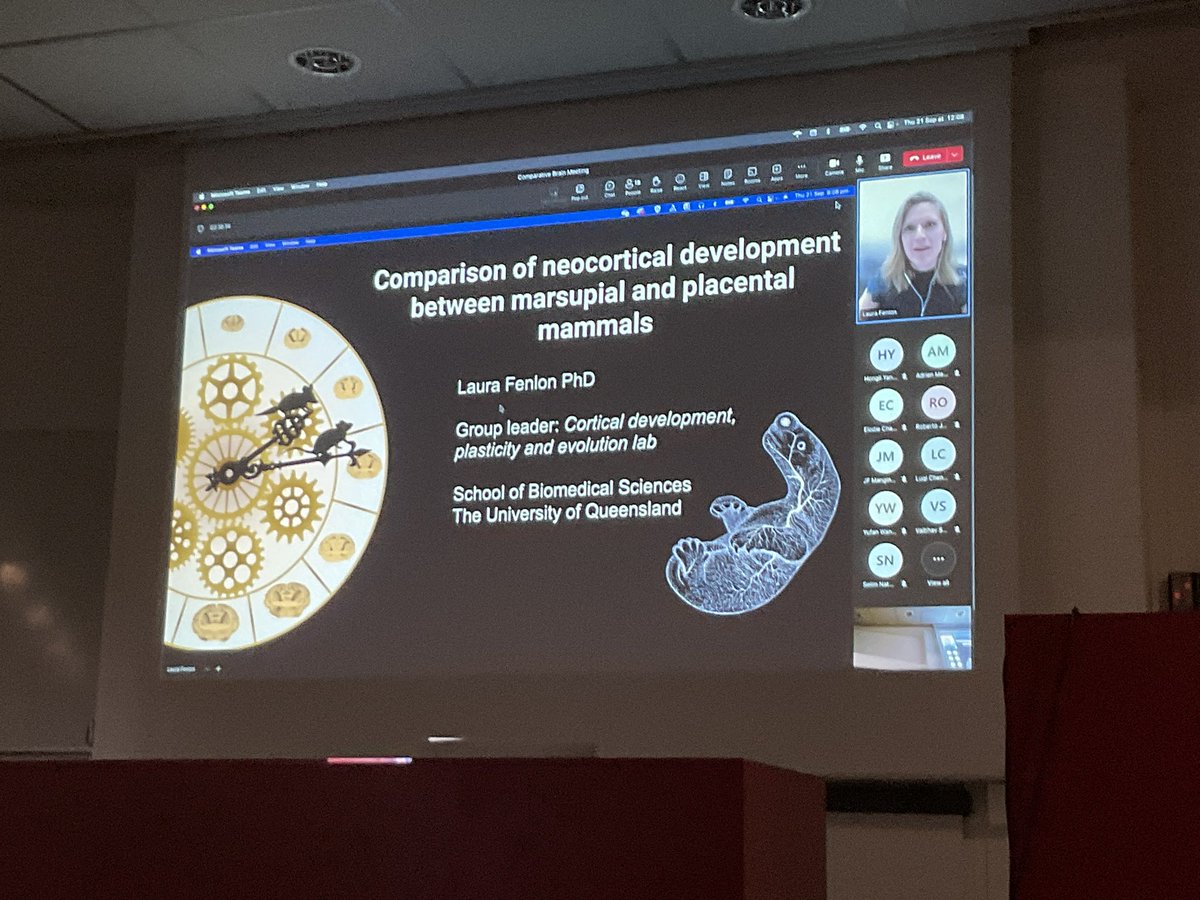 katjaQheuer's tweet photo. Now fantastic journey to Australia with @LauraRoseFenlon presenting a Comparison of neocortical development between marsupial and placental mammals.
#compMRI @R3RT0 @NeuroecologyLab @AssafLab https://t.co/W5QA3tOoGZ