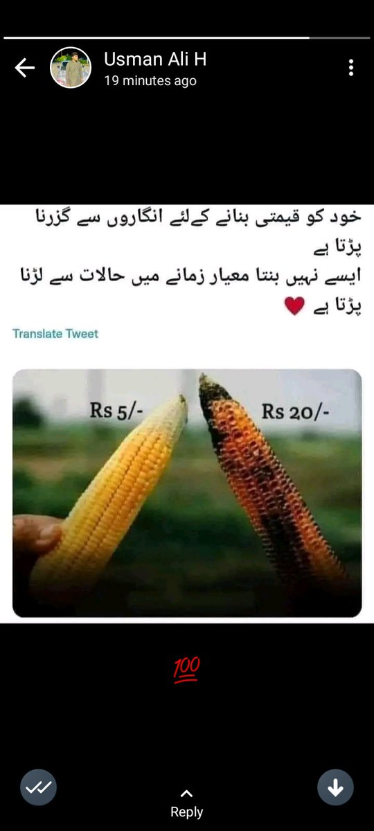 manzar_ali776's tweet photo. In Fact
#Trending #FolloMe #likes10k https://t.co/T1IyPiNsTN