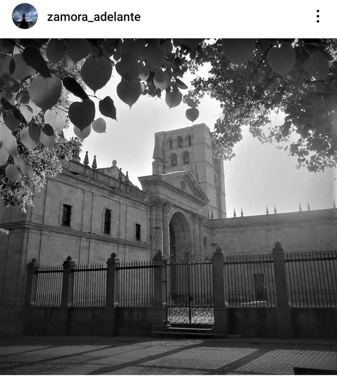 #catedralzamora #Zamora #zamoraenamora #zamoraciudad #zamoracapital #travelphotography #bnwlovers #bnwphotography #bnw_city #bnw #picoftheday #septiembre2023 #zamora2023 #picoftheweek #Zamora_Adelante #大聖堂