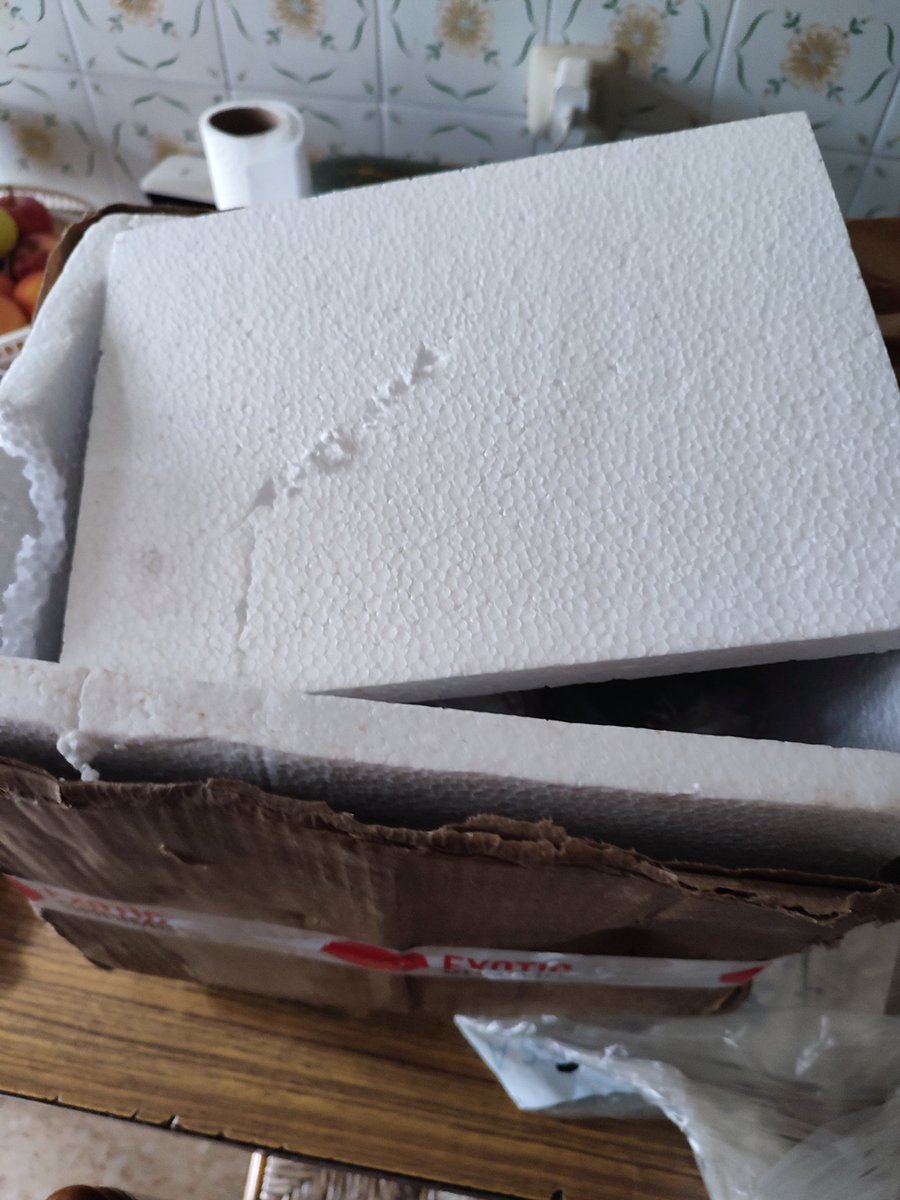 Crestongames tweet media