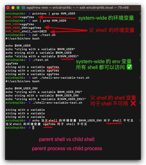 xgqfrms's tweet image. How to print a string with a variable by using the echo command in the shell script All In One cnblogs.com/xgqfrms/p/1771… #bash #shell_script #cnblogs #environment_variable #webfullstack #Linux via @xgqfrms