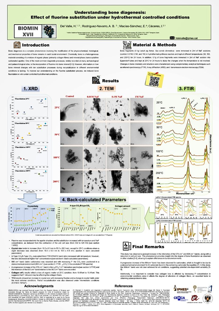 Great experience at the International Symposium on Biomineralization held in Saint-Étienne, France. We presented our data on fluorine intrusion in bone remains to better understand fossilization processes in archaeological and paleontological sites. @iphes #BIOMINXVII 🦴🔬🧪