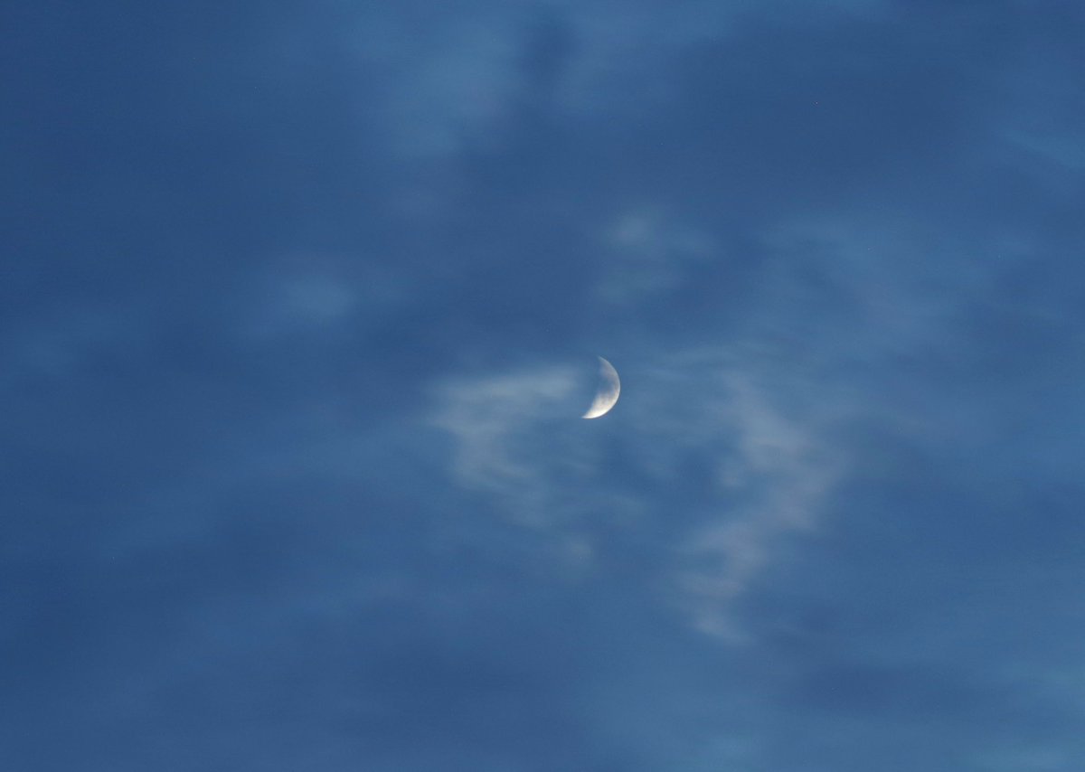 アンタレス食　見えず

当地の日没　18:20
食の終了　　18:35 どだい難しい

一瞬雲の中から、お情けで