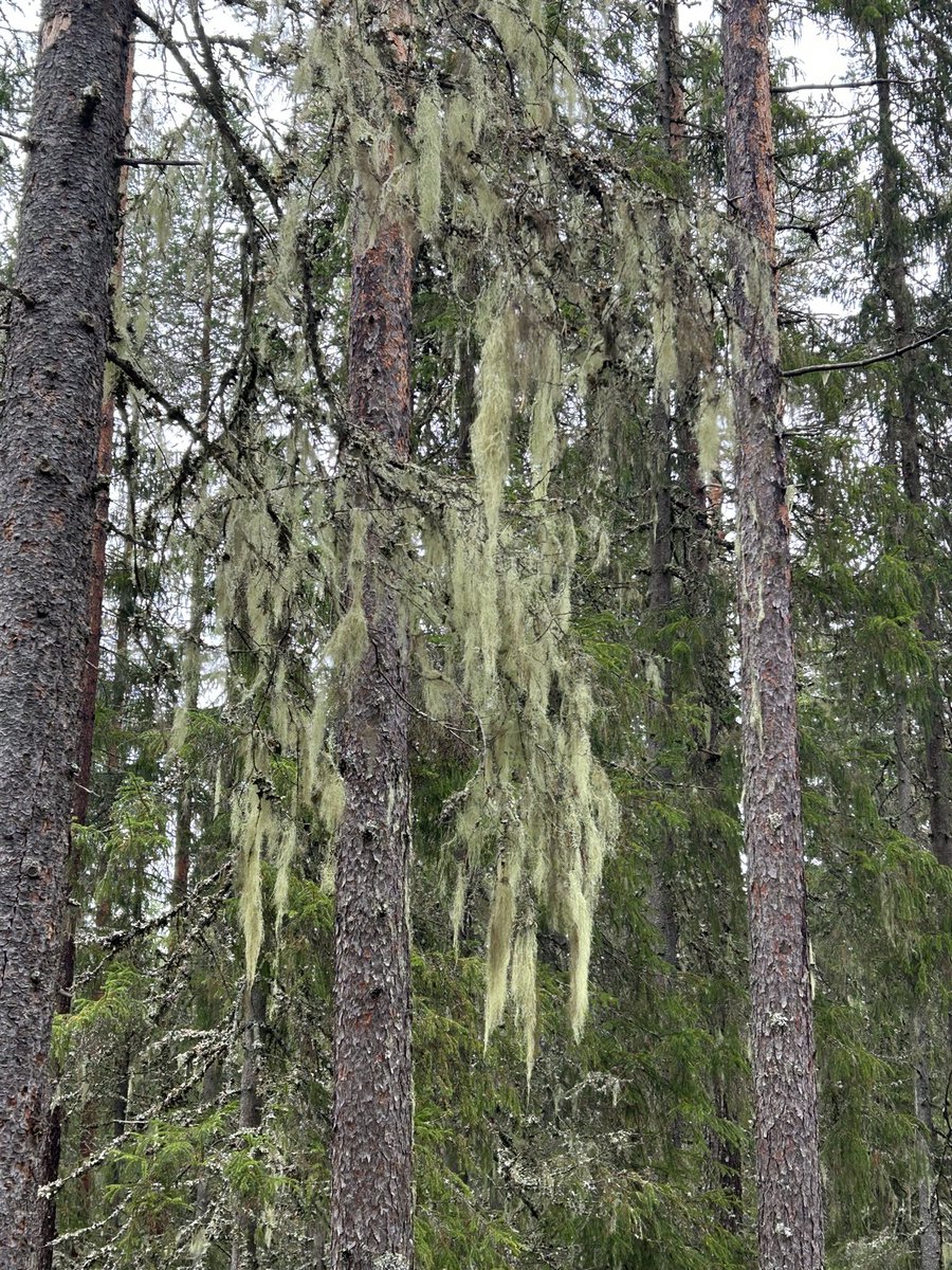 Prof Phil Haygarth tweet media