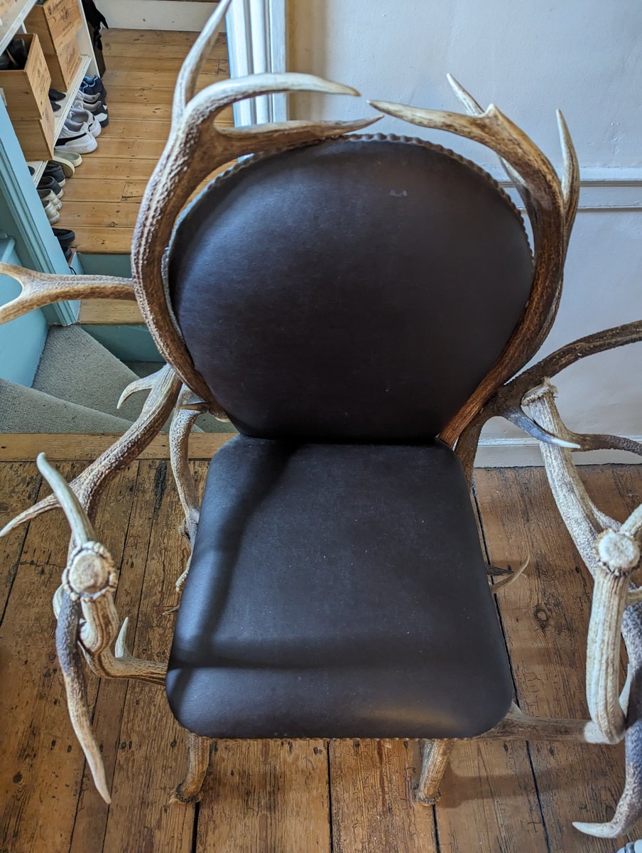 sara aida martinez (she/her) tweet media