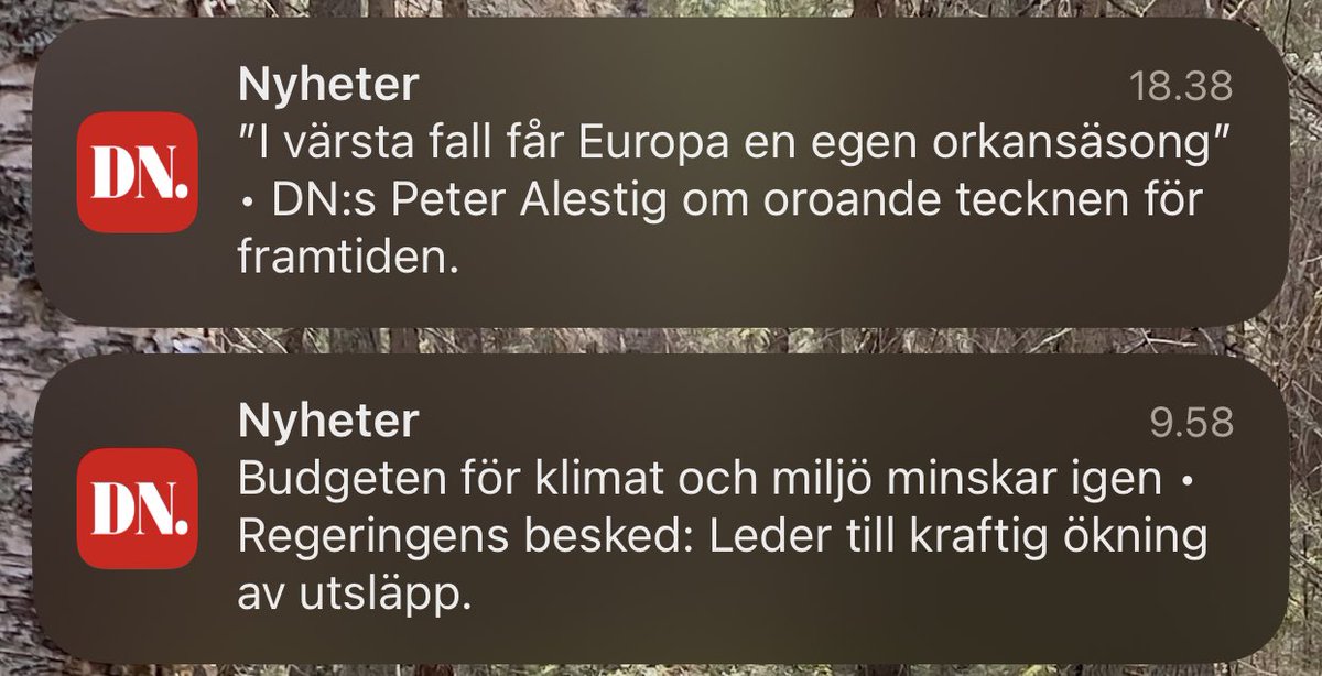 Liselott Lindström tweet media
