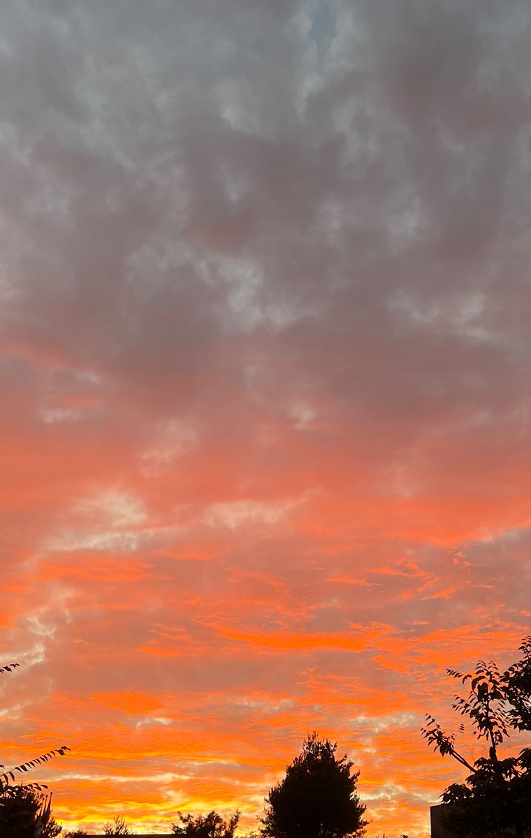 [230921] 용승 - 위버스

"잘 익은 노을🌅"

#용승 #YONGSEUNG  
#베리베리 #VERIVERY