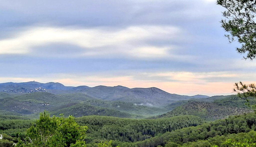 Vakapiupiu's tweet image. Com ha caviat el 5 dies el Massís del #Garraf aigua disponible, la Natura es refà, boirines a Vallgrassa!
Es noten els 50 a 75 mm caiguts entre divendres i ahir dimecres 20 #setembre2023 ♡