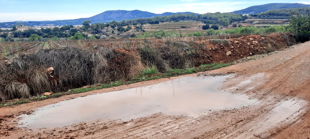 Vakapiupiu's tweet image. Com ha caviat el 5 dies el Massís del #Garraf aigua disponible, la Natura es refà, boirines a Vallgrassa!
Es noten els 50 a 75 mm caiguts entre divendres i ahir dimecres 20 #setembre2023 ♡