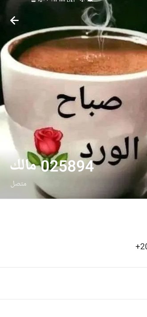 Mostafa48420514's tweet photo. @Yassenm88965827 https://t.co/HCMp81XBtU