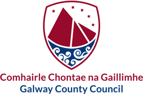 Culture Night is brought to you by the <a href="/artscouncil_ie/">The Arts Council / An Chomhairle Ealaíon</a>  in partnership with <a href="/GalwayCoCo/">Galway County Council</a>