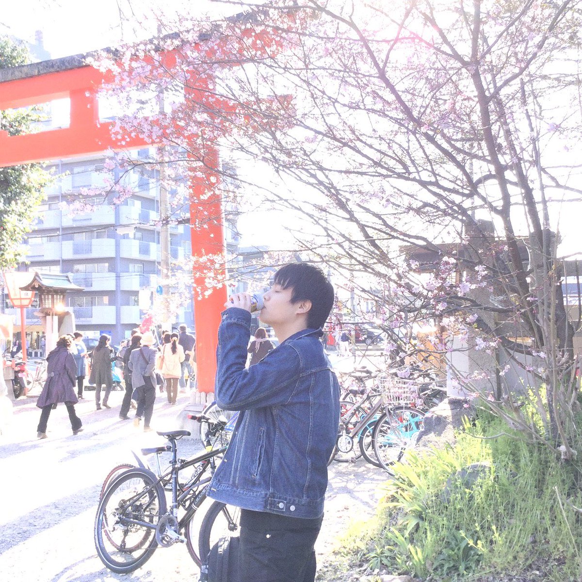 ぐ tweet media