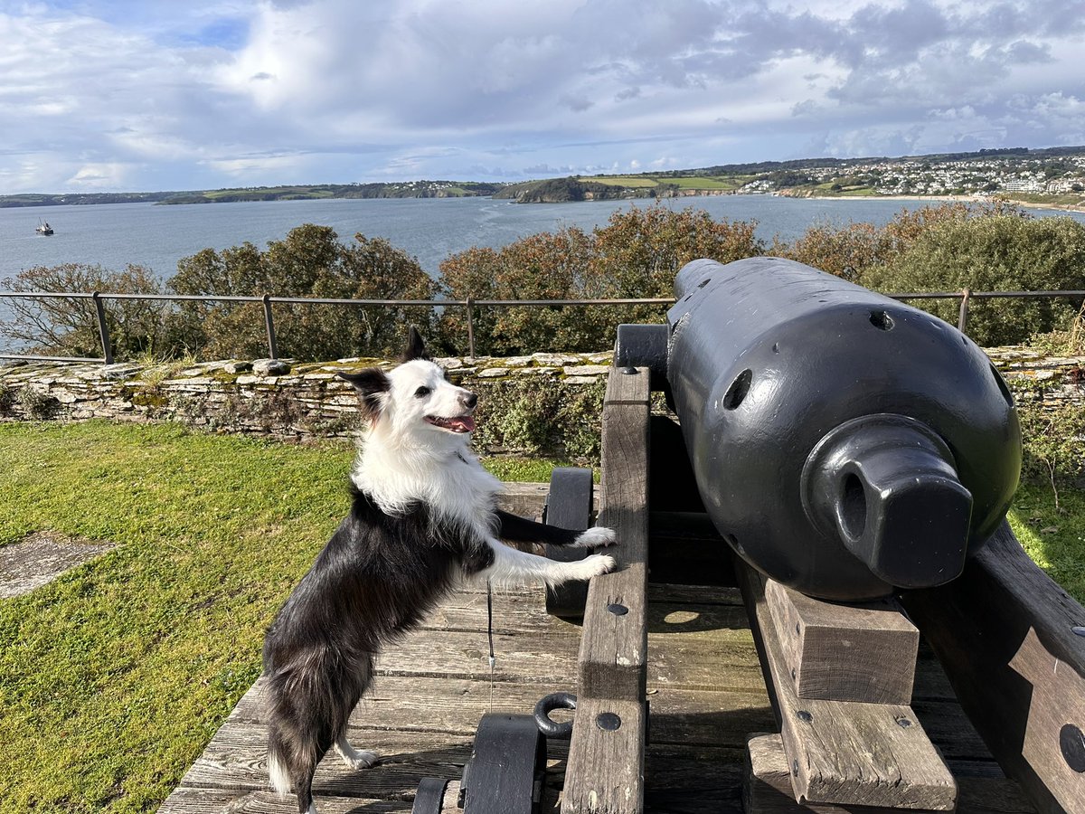 Ready….aim….fire. 

I’m now at Pendennis Castle for an explore.