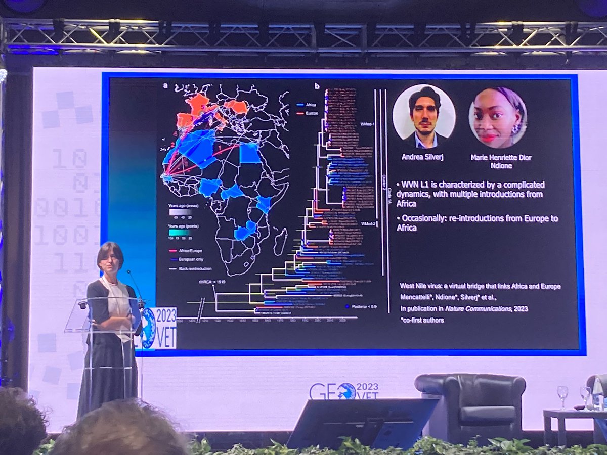 Guilia Mencatelli discusses differences in dynamics of dissemination of West Nile Virus strains <a href="/GeoVet23/">GeoVet2023</a>