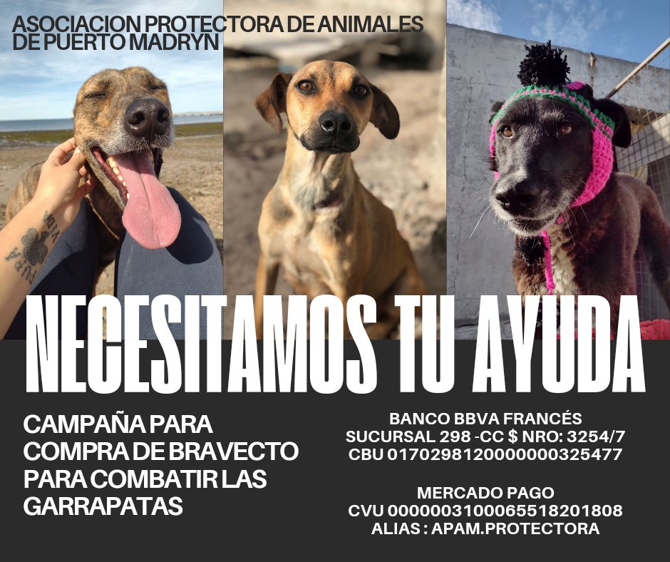 apammadryn's tweet photo. Para colaborar también podes hacerte socio!
Por Débito en Cuenta Bancaria : https://t.co/NwcZZx7YlV
￼ Por Débito con Tarjeta de Crédito: https://t.co/ZaS4vlXwzP
O dona para la compra de la pastilla para combatir las garrapatas🐕🐾 e-mail:apampuertomadryn@gmail.com https://t.co/XJLxSeGHdA