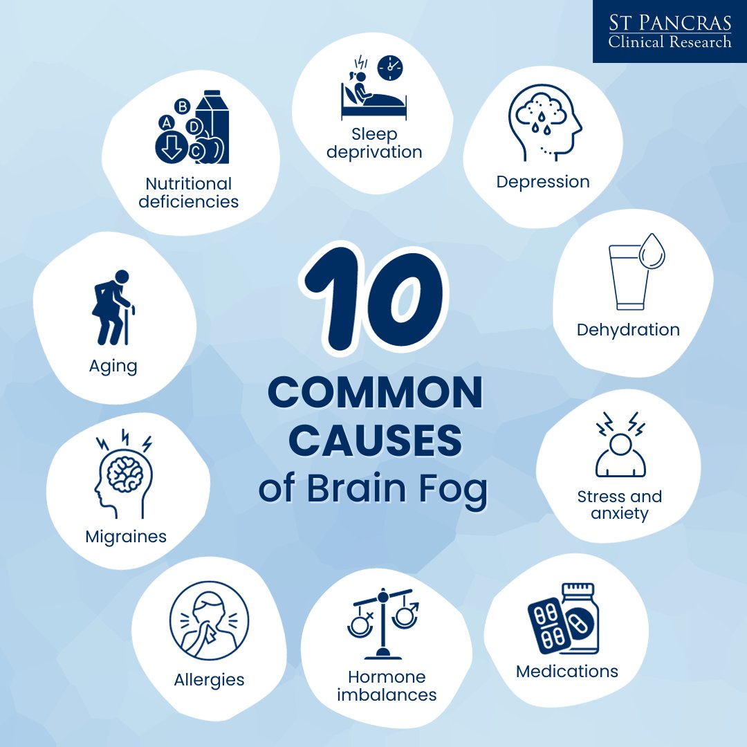 #brainfog #brainfogcauses #brainhealth #memory #anxiety #stress #sleepdeprivation #migraines #nutrition #ageing #allergies #hormonebalance