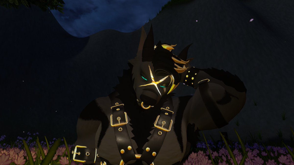 Jira Azora tweet media