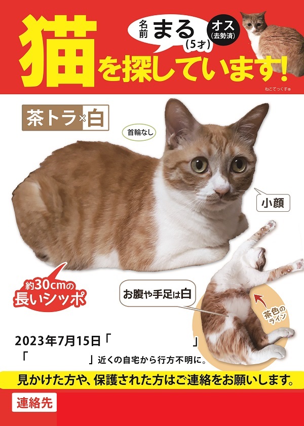 ねこてっくす/ 迷子猫 迷子鳥 迷子犬 迷子ペット チラシ制作 (@necotex