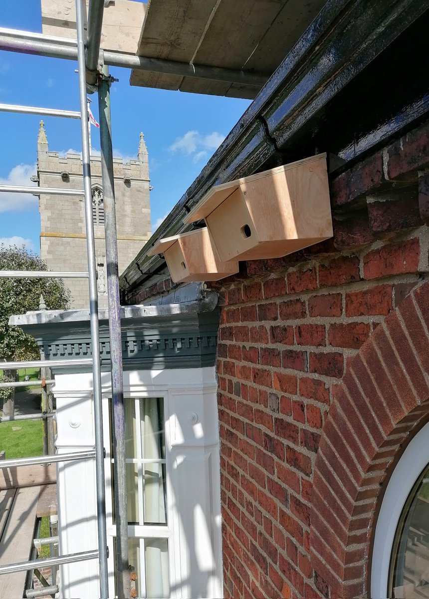 Mikey Naylor (@mikeynaylor29) on Twitter photo I got to install a couple of the Swift nest boxes today. It was made "easier 🤔😂" with scaffolding and the boxes being fixed onto wooden barge boards. I have no Idea how <a href="/BirdingDad/">Jono Leadley</a> does it perched atop a ladder and fastening them into masonry 😮😮🙏@yorkswifts I got to install a couple of the Swift nest boxes today. It was made "easier 🤔😂" with scaffolding and the boxes being fixed onto wooden barge boards. I have no Idea how <a href="/BirdingDad/">Jono Leadley</a> does it perched atop a ladder and fastening them into masonry 😮😮🙏@yorkswifts
